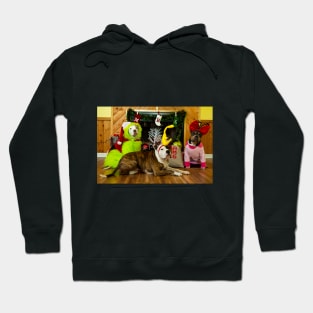 Merry Grinchmas 2 Hoodie